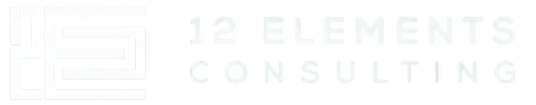 12 Elements Consulting | Decisioning & Risk Consulting for Modern Lenders